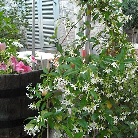 הידרה Theano Guesthouse מראה חיצוני תמונה