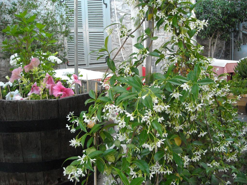 הידרה Theano Guesthouse מראה חיצוני תמונה